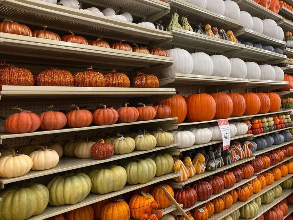 Wall of pumpkin decor