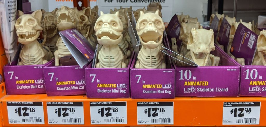 various skeleton animal decorations on store shelf