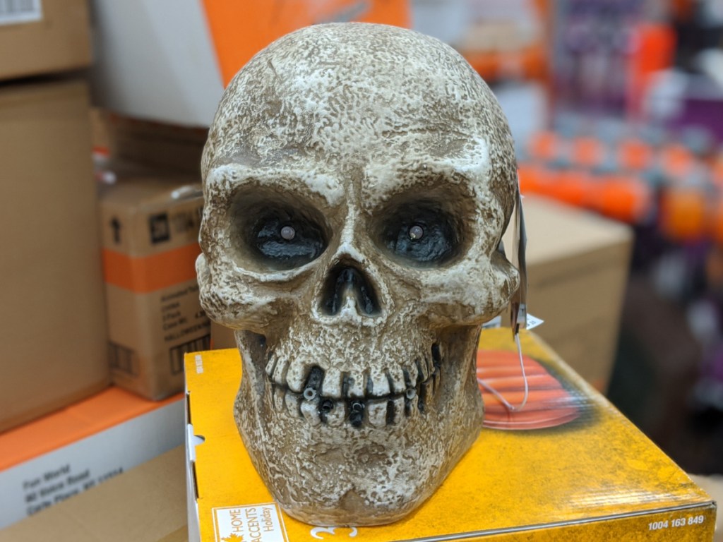 LED light skull decoration