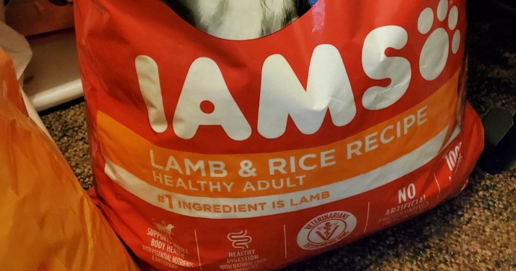 close up of Iams ProActive Health Adult Lamb & Rice Formula Dry Dog Food