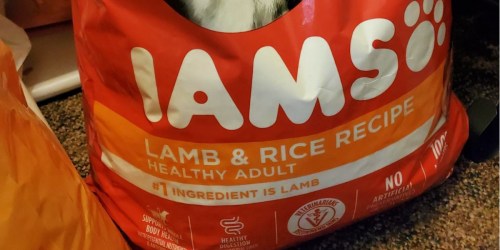 Over 38-Pounds of Iams Dry Dog Food Just $24 Shipped on Chewy.com