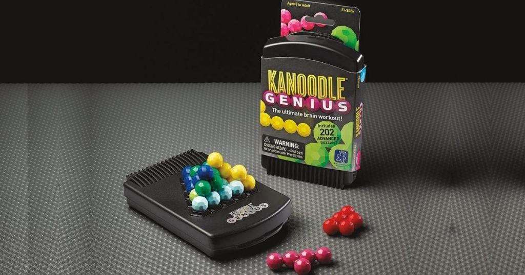 Kanoodle Genius Brain Teaser Game