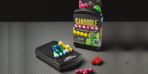 Educational Insights Kanoodle Genius Only $8.79 on Amazon (Regularly $13)