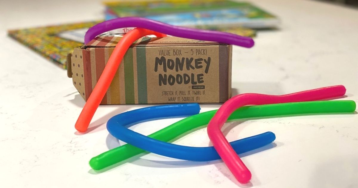 Stretchy String Fidget Sensory Toys Monkey Noodle Pull Autism ADD ADHD 6 PACK 