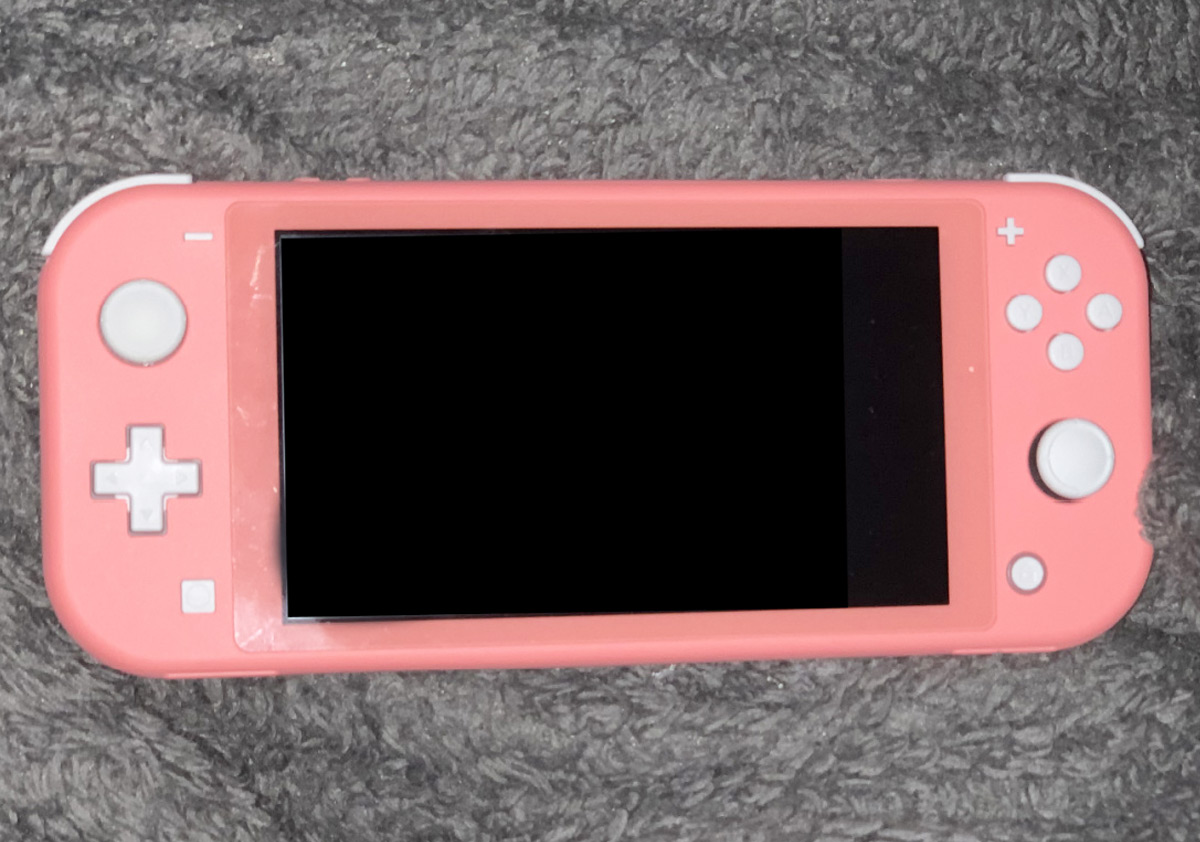 coral switch lite best buy