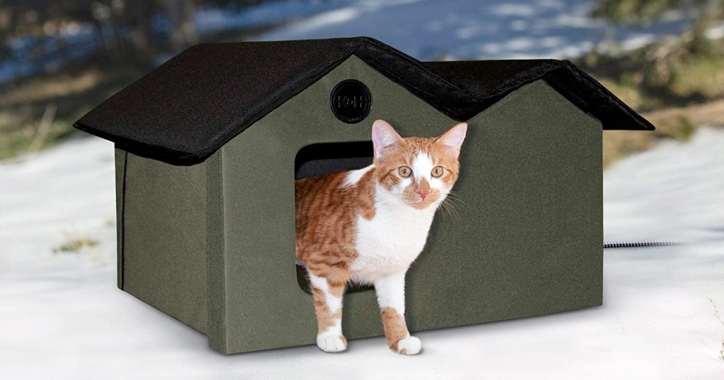 olive green cat house with black roof in snowy area with orange and white cat coming out from door
