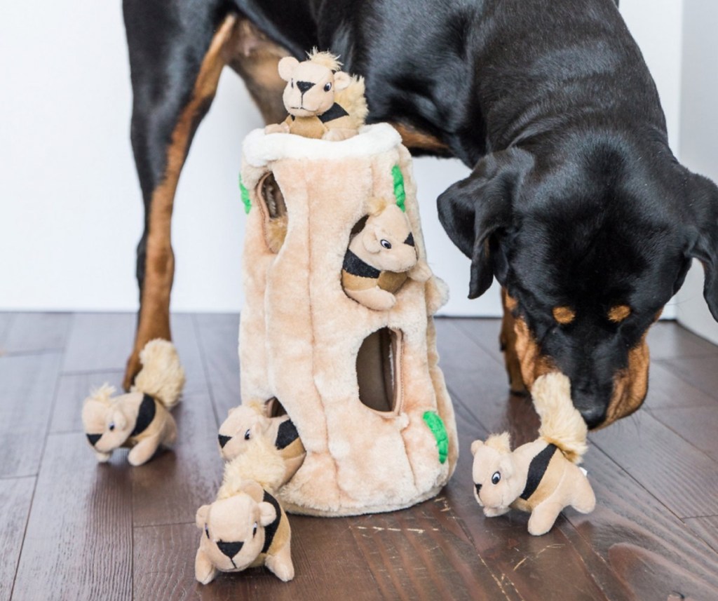 rottweiler dog playing with large squirrels in tree stump stuffed toy