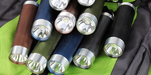 Ozark Trail 10-Pack Flashlight Set w/ 30 Batteries Only $5.97 on Walmart.com