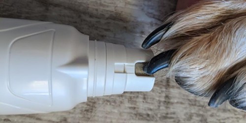 Quiet & Rechargeable Pet Nail Grinder Only $9.99 on Amazon | Great for Anxious Pets!