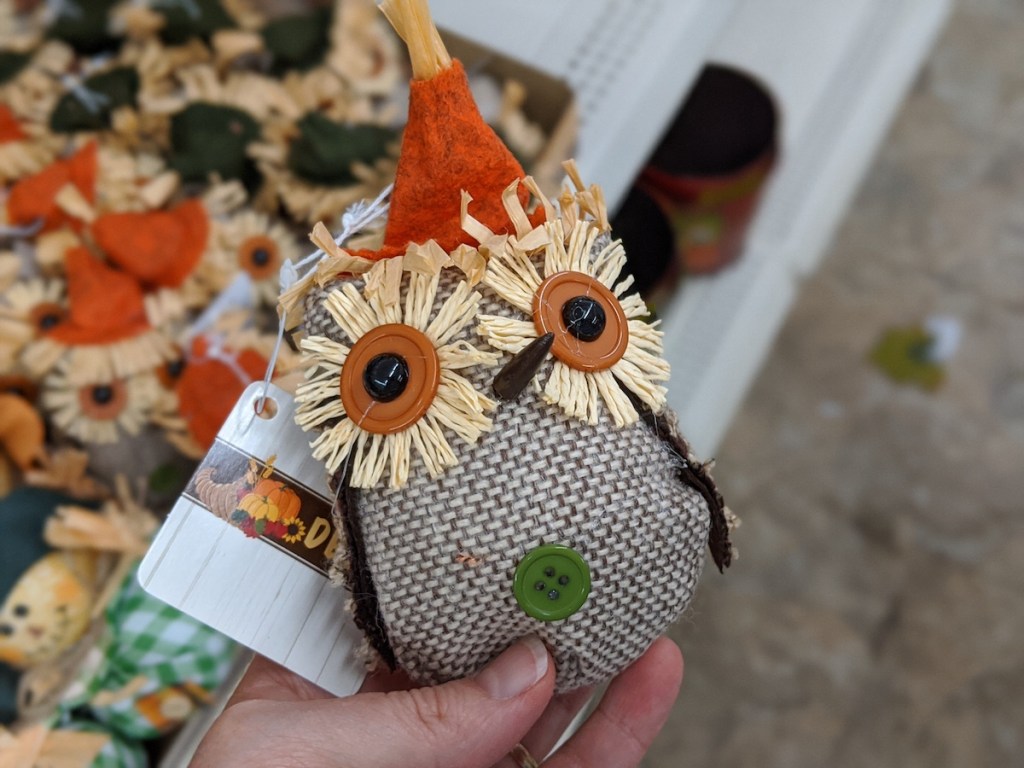 hand holding Polyester and Rattan Fall Owl Ornaments