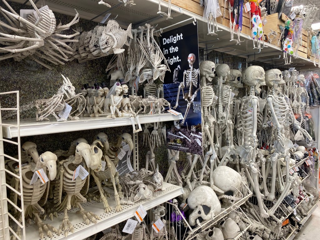 Skeleton decor at craft store