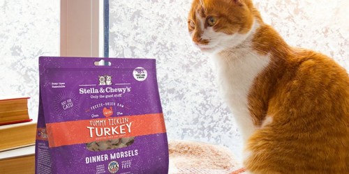 Stella & Chewy’s Raw Dinner Morsels for Cats Only $22.75 Shipped on Amazon (Regularly $40)