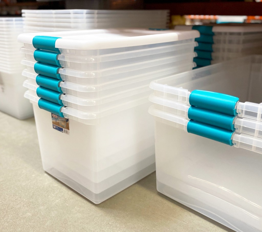 clear storage totes with white lid and blue locking handles