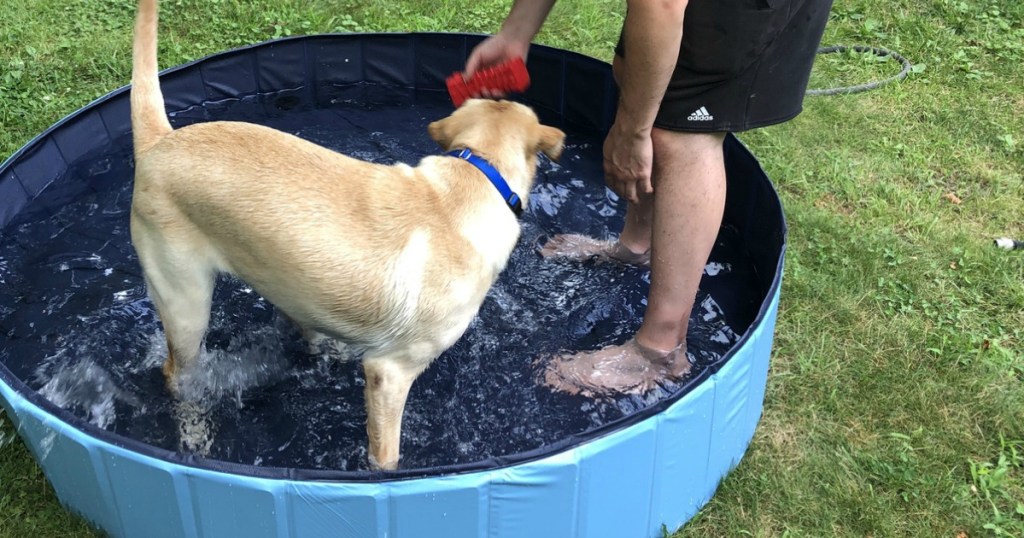 collapsible pool for adults