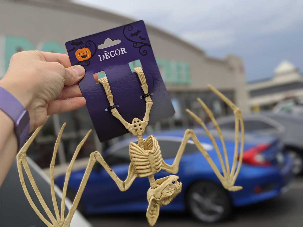 bat skeleton being held up outside store
