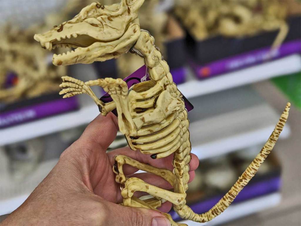 dog skeleton being held up in store