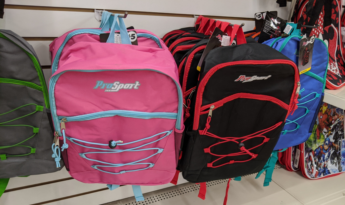 dollar tree insulated bags