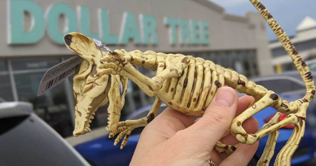skeleton of dog beind held up in front of store