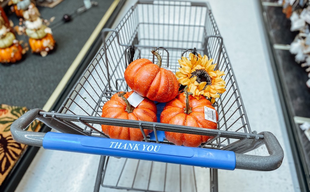 close up of pumpkins and sunflower in shopping cart in store
