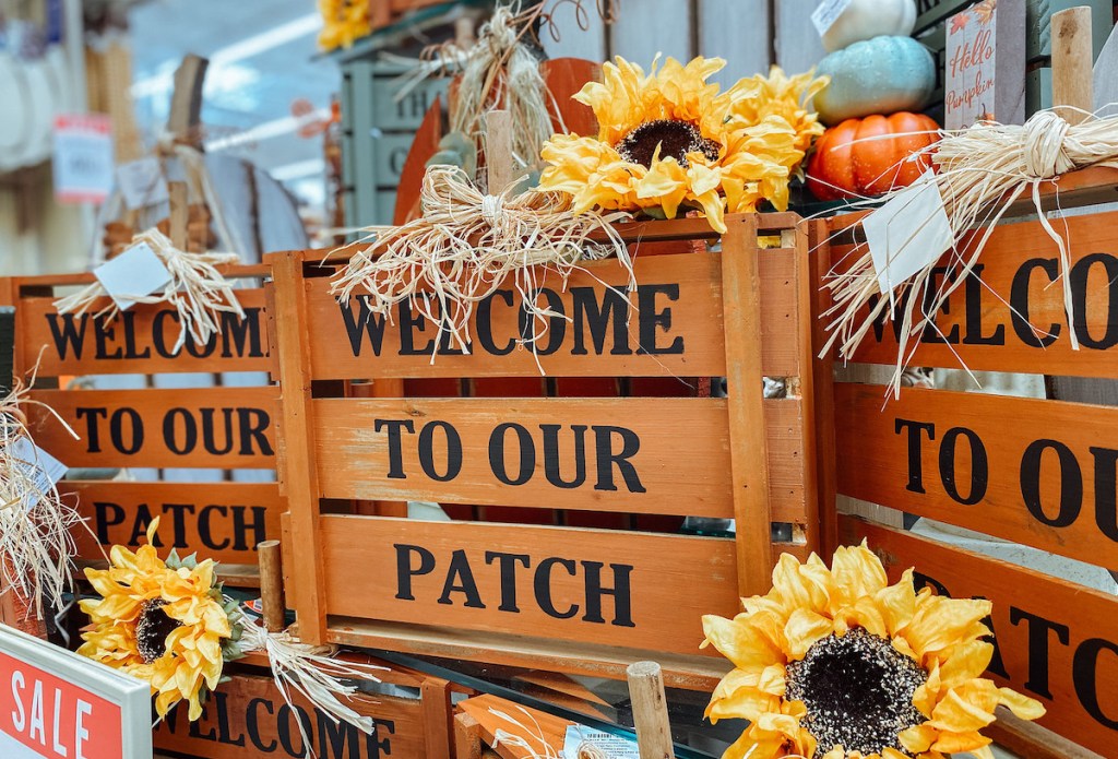 welcome to our patch pumpkin orange signs in store