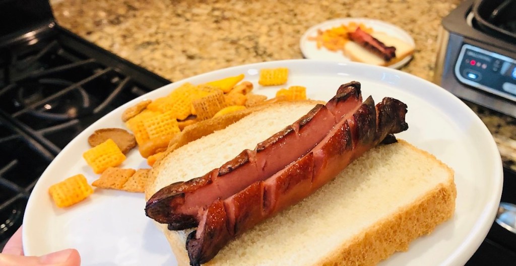 hand holding white plate with grilled hot dog and bread on plate