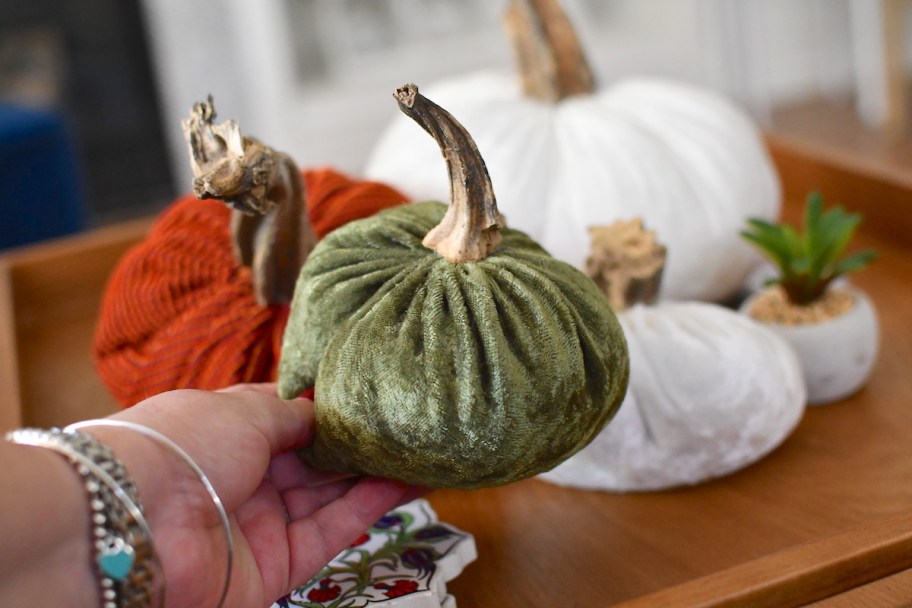 hand holding green velvet pumpkin 