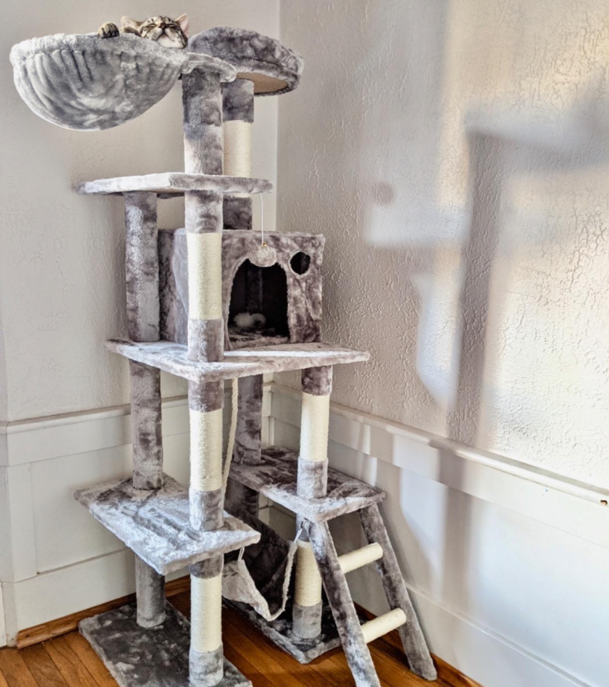 7 of the Best Cat Trees & Condos on Amazon, 5-Star Rated | Hip2Save best cat tree deals