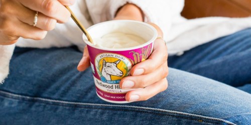 FREE Redwood Hills Yogurt Cup Coupon (Over $3 Value) + Win a Year’s Worth of Yogurt