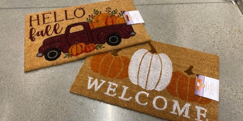 Decorate Your Home w/ Seasonal Decor from $3.49 at ALDI