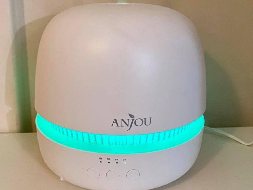 Anjou diffuser with green light on