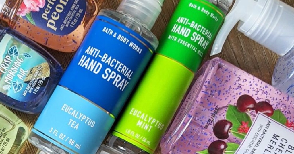 Bath & Body Works Fun Size and Regular Size Hand Sanitizer
