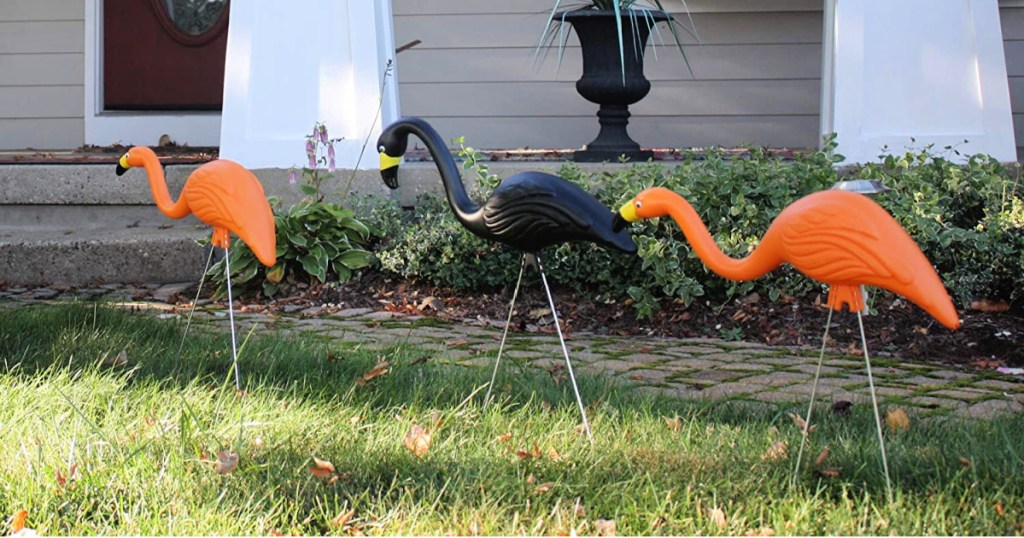 Bloem 10-Pack Spooky Orange & Black Flamingo Halloween Yard Decor