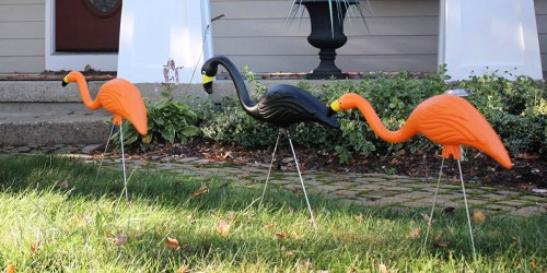 Spooky Flamingos 10-Pack Just $39.98 Shipped on HomeDepot.com (Only $4 Each!)