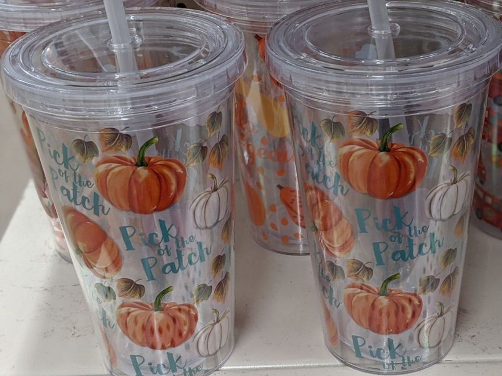 Double Wall Plastic Tumbler with Lids and Straw