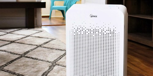 Factory Refurbished Winix True HEPA Air Purifier Only $69.99 (WiFi Enabled & Easy to Clean!)