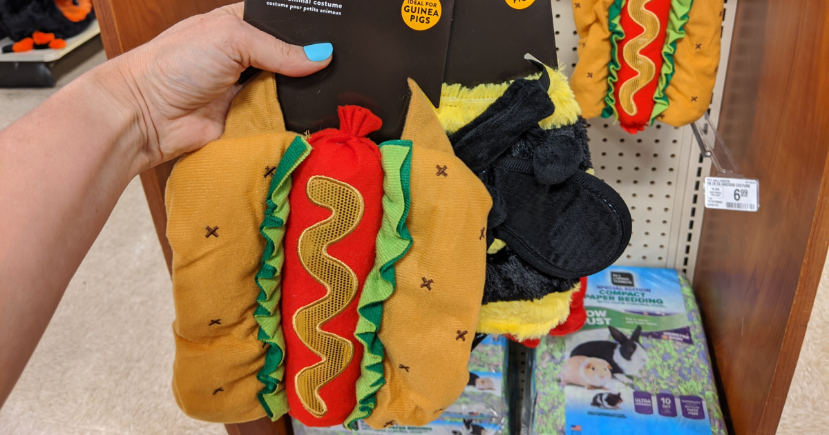hand holding hot dog costume and bee costume for guinea pigs