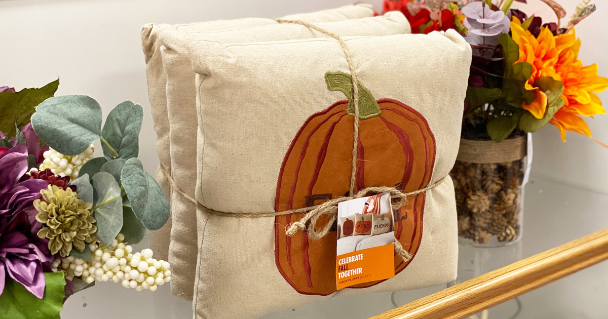 Kohls pillows 3 outlet for $10