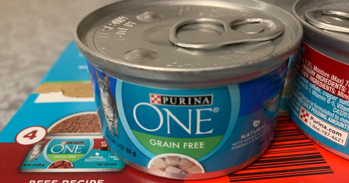 purina one wet cat food