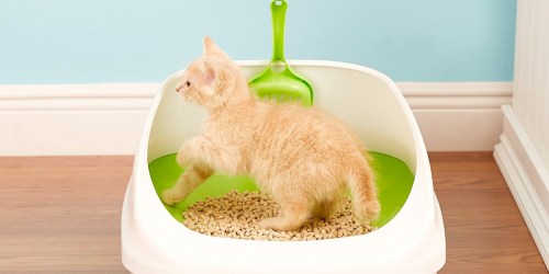 Purina Tidy Cats Breeze Litter Pellets 28-Pound Refill Just $41 Shipped on Amazon (Regularly $64)