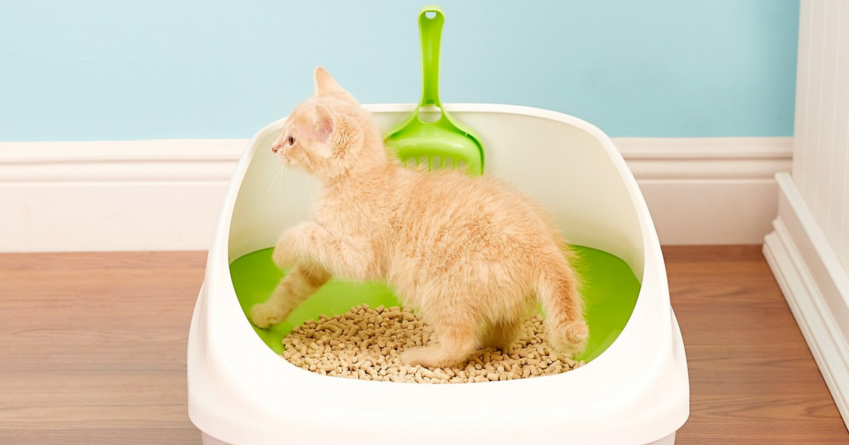 Cat Mat For Litter Box 50-Count Cat Pads For Breeze System - Super Absorbent With Charcoal Odor Control Cat Litter Pellets Cat Mat For Litter Box 50-Count Cat Pads For Breeze System - Super Absorbent With Charcoal Odor Control Cat Litter Pellets
