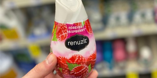 SIX Renuzit Air Fresheners Only $3.80 on Walgreens.com (Just 63¢ Each)