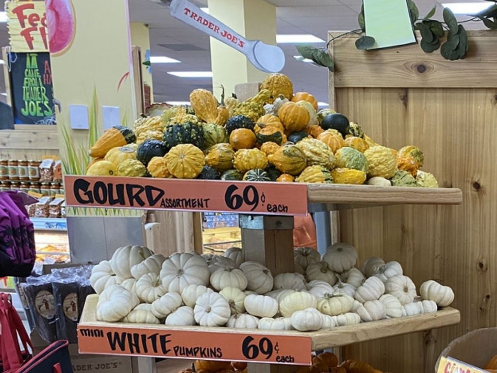 Trader Joe’s Has Pumpkins of Every Size and Color & Priced as Low as 69¢