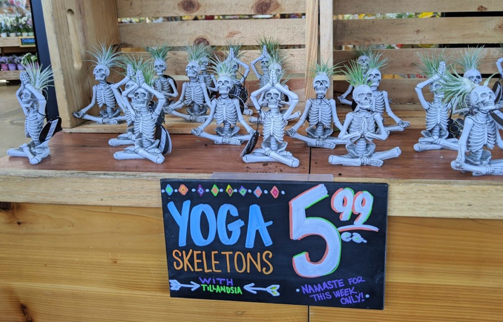 Trader Joes Yoga Skeleton Namaste Air Plants on shelf