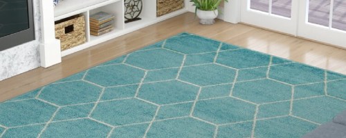 Wayfair light aqua teal area rug on a hardwood floor
