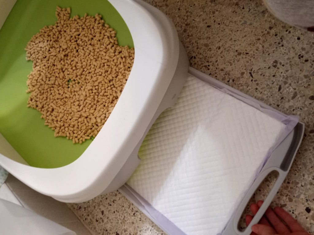 litter box with absorbent pad