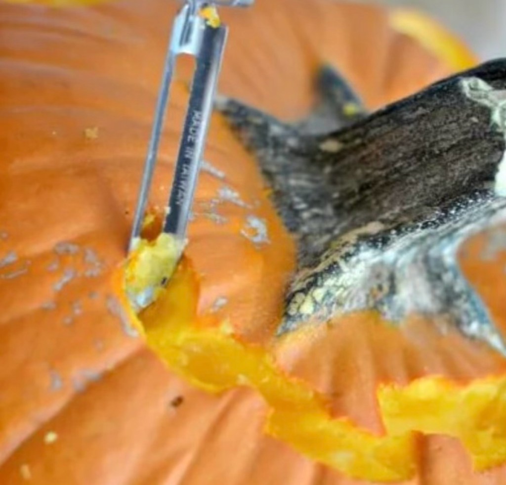 carving around pumpkin nose