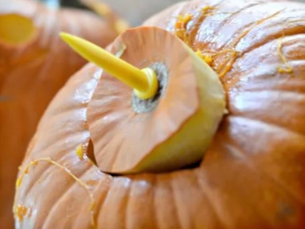 carving pumpkin with pumpkin nose stem