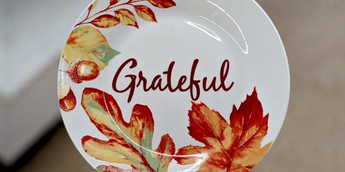 Thanksgiving & Fall Ceramic Dinnerware Only $1 at Dollar Tree