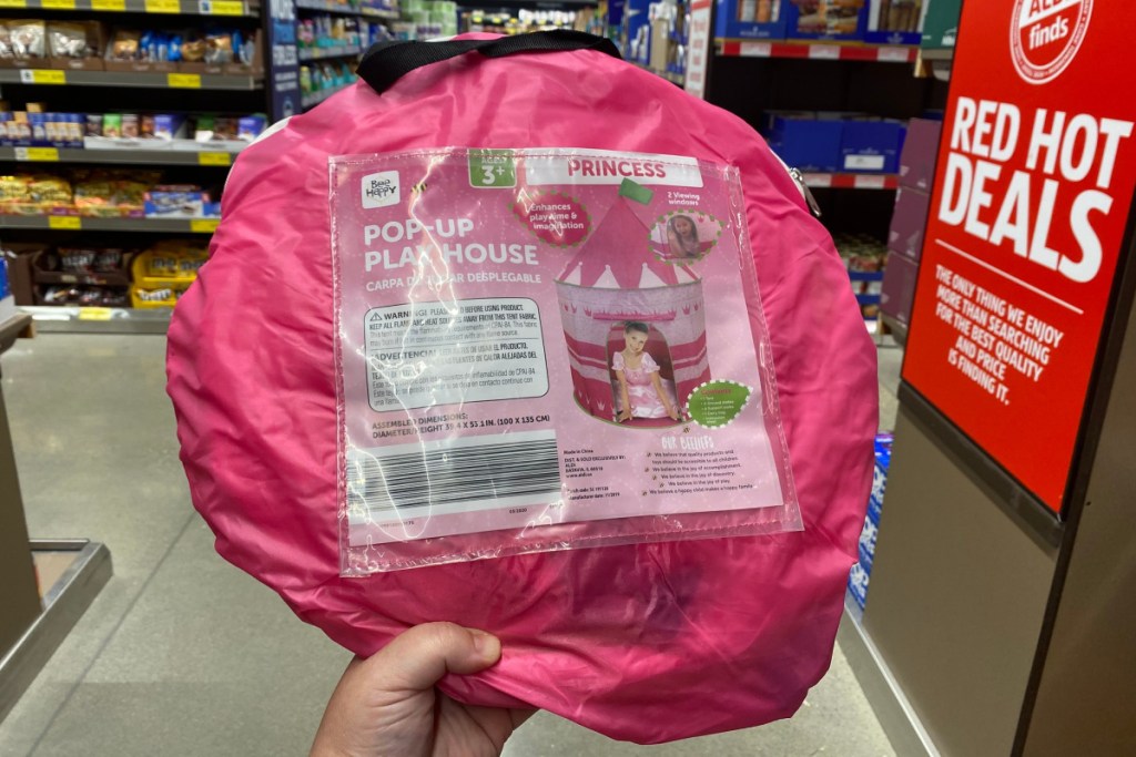 princess playhouse at ALDI in hand in store