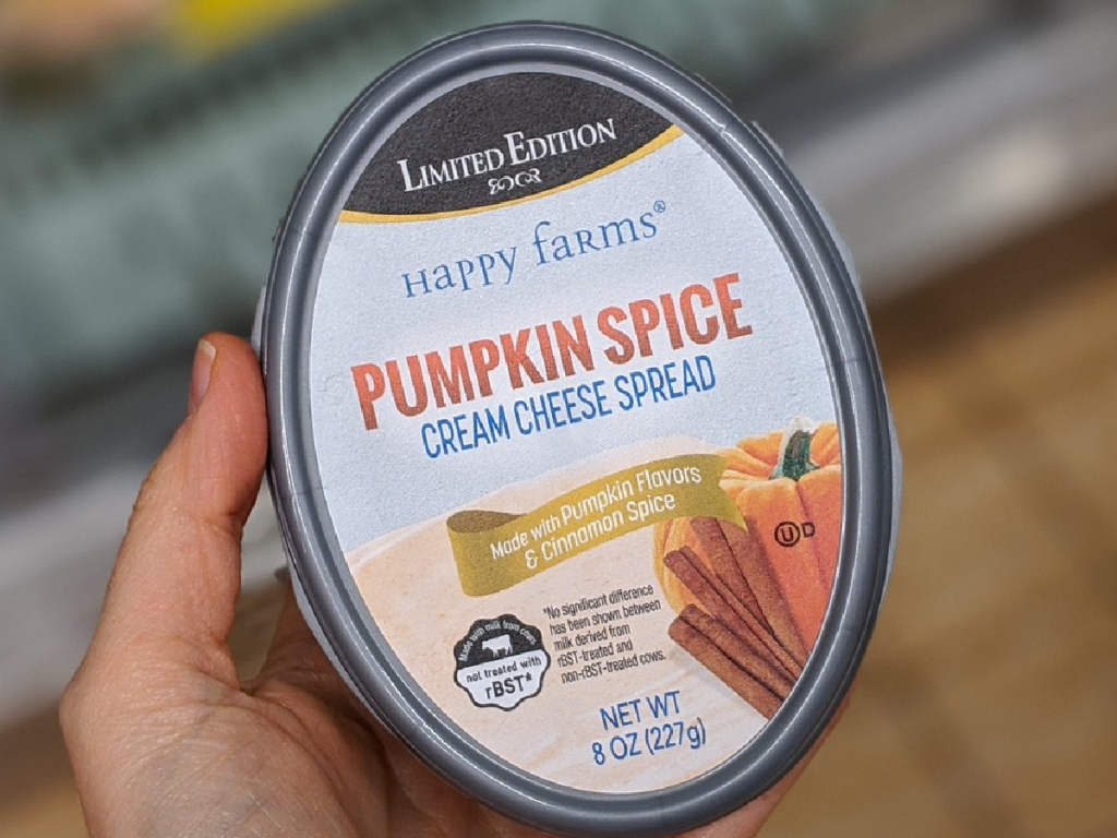hand holding up round tub of pumpkin flavored cream cheese